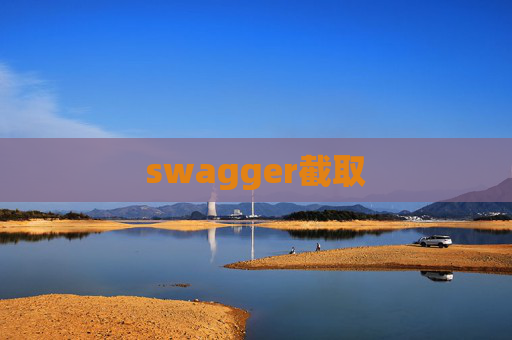 swagger截取